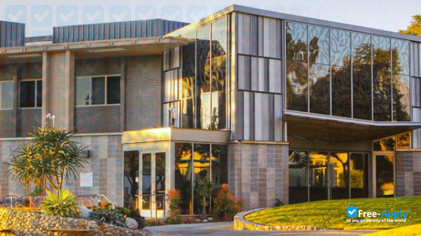 Pitzer College Requirements: Cost, Extracurricular & Admission Process