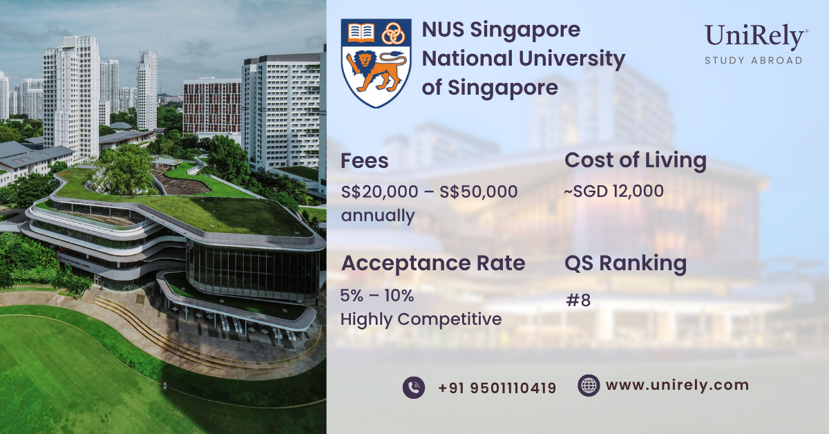 National University of Singapore scholarship fees acceptance rate infographic