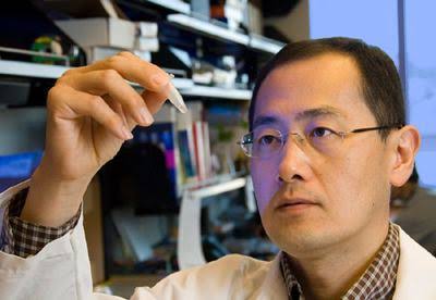 Won the 2012 Nobel Prize in Physiology or Medicine for the discovery of induced pluripotent stem (iPS) cells.